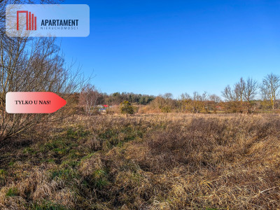 Tylko u nas Działka 15ha staw pomost WZ - Topolinek  -
Kujawsko-Pomorskie Zdjęcie nr 10