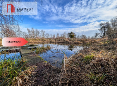 Tylko u nas Działka 15ha staw pomost WZ - Topolinek  - Kujawsko-Pomorskie