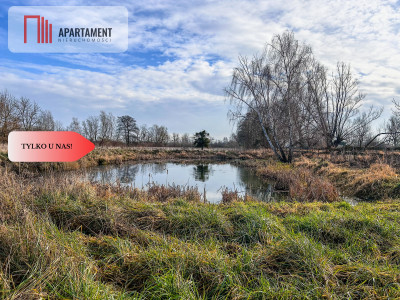 Tylko u nas Działka 15ha staw pomost WZ - Topolinek  -
Kujawsko-Pomorskie Zdjęcie nr 2