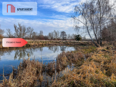 Tylko u nas Działka 15ha staw pomost WZ - Topolinek  -
Kujawsko-Pomorskie Zdjęcie nr 3