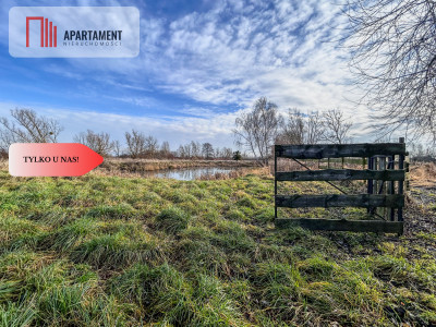 Tylko u nas Działka 15ha staw pomost WZ - Topolinek  -
Kujawsko-Pomorskie Zdjęcie nr 4