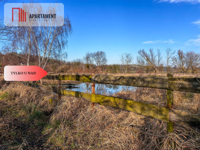 Tylko u nas Działka 15ha staw pomost WZ - Topolinek  -
Kujawsko-Pomorskie Zdjęcie nr 5