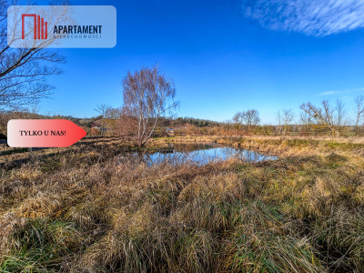 Tylko u nas Działka 15ha staw pomost WZ - Topolinek  -
Kujawsko-Pomorskie Zdjęcie nr 7