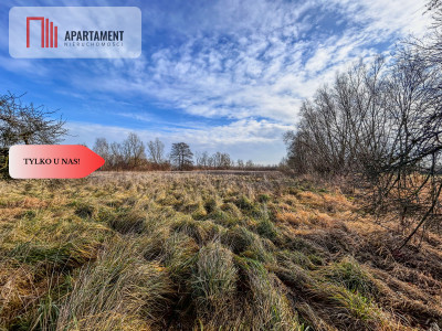 Tylko u nas Działka 15ha staw pomost WZ - Topolinek  -
Kujawsko-Pomorskie Zdjęcie nr 8