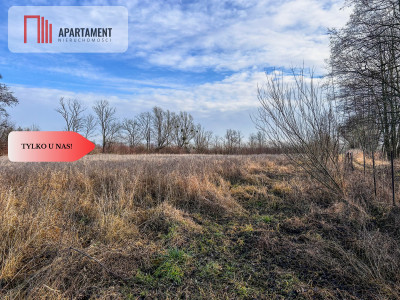 Tylko u nas Działka 15ha staw pomost WZ - Topolinek  -
Kujawsko-Pomorskie Zdjęcie nr 9