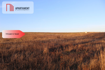 Działka BudowlanaPINCZYNCISKA1108m - Pinczyn  -
Pomorskie Zdjęcie nr 6