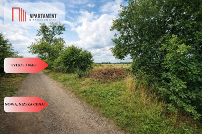 OKAZJA Działka pod domek letniskowy  Osiek - Osiek  -
Lubuskie Zdjęcie nr 3