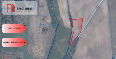 Tylko u Nas Wyjątkowe działki z WZ-Tuszkowy - Tuszkowy  -
Pomorskie Zdjęcie nr 11