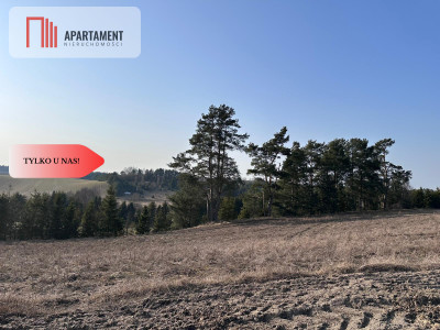 Tylko u Nas Wyjątkowe działki z WZ-Tuszkowy - Tuszkowy  -
Pomorskie Zdjęcie nr 4