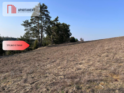 Tylko u Nas Wyjątkowe działki z WZ-Tuszkowy - Tuszkowy  -
Pomorskie Zdjęcie nr 7