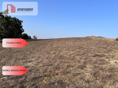 Tylko u Nas Wyjątkowe działki z WZ-Tuszkowy - Tuszkowy  -
Pomorskie Zdjęcie nr 9