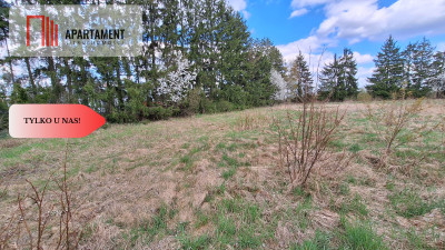 Działaka z WZ budowa osiedla - Wałcz  -
Zachodniopomorskie Zdjęcie nr 2