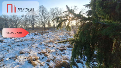 Działaka z WZ budowa osiedla - Wałcz  -
Zachodniopomorskie Zdjęcie nr 3