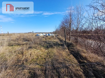 5 Działek z warunkami zabudowy 4 km od morza - Śmiechów  -
Zachodniopomorskie Zdjęcie nr 5