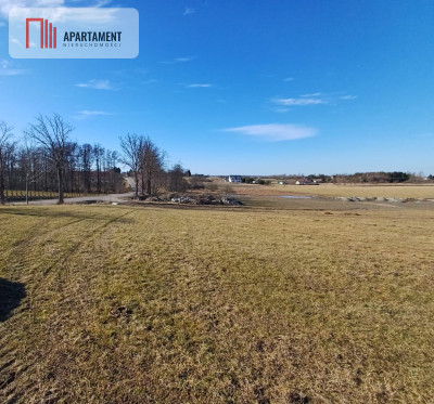 5 Działek z warunkami zabudowy 4 km od morza - Śmiechów  -
Zachodniopomorskie Zdjęcie nr 8