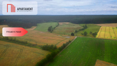 Siedlisko z warunkami zabudowy - Opalenie  -
Pomorskie Zdjęcie nr 2