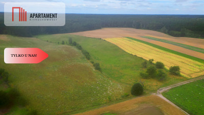 Siedlisko z warunkami zabudowy - Opalenie  -
Pomorskie Zdjęcie nr 4