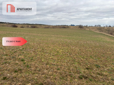 Działki z potencjałem inwestycyjnym - Liniewskie Góry  - Pomorskie