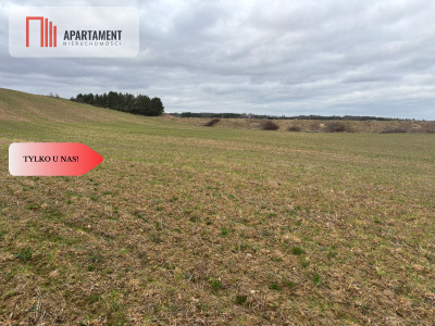 Działki z potencjałem inwestycyjnym - Liniewskie Góry  -
Pomorskie Zdjęcie nr 3