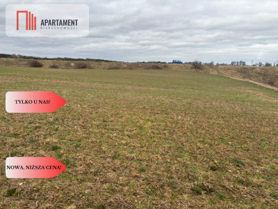 Działki z potencjałem inwestycyjnym - Liniewskie Góry  -
Pomorskie Zdjęcie nr 4