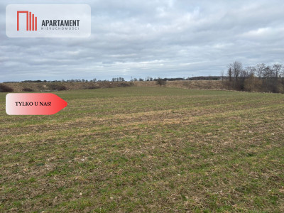 Działki z potencjałem inwestycyjnym - Liniewskie Góry  -
Pomorskie Zdjęcie nr 5