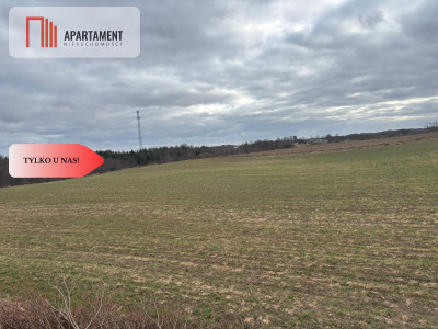 Działki z potencjałem inwestycyjnym - Liniewskie Góry  -
Pomorskie Zdjęcie nr 6