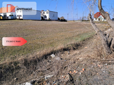 Atrakcyjne działki w SADKACH - Sadki  -
Kujawsko-Pomorskie Zdjęcie nr 3