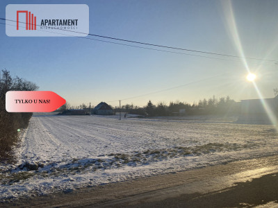 Atrakcyjne działki w SADKACH - Sadki  -
Kujawsko-Pomorskie Zdjęcie nr 4