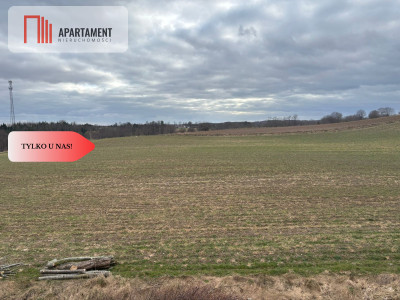 Działki z potencjałem  - Liniewskie Góry - Liniewskie Góry  -
Pomorskie Zdjęcie nr 10