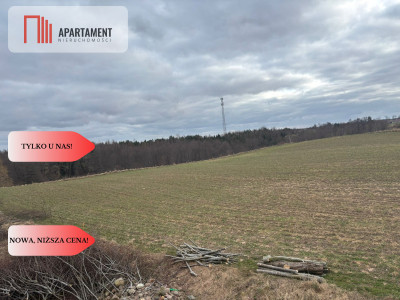 Działki z potencjałem  - Liniewskie Góry - Liniewskie Góry  -
Pomorskie Zdjęcie nr 11