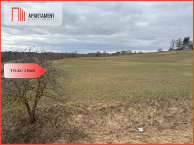 Działki z potencjałem  - Liniewskie Góry - Liniewskie Góry  - Pomorskie