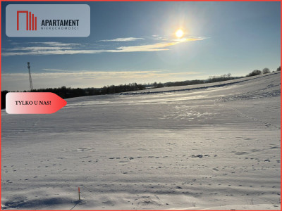 Działki z potencjałem  - Liniewskie Góry - Liniewskie Góry  -
Pomorskie Zdjęcie nr 2