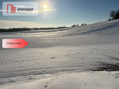 Działki z potencjałem  - Liniewskie Góry - Liniewskie Góry  -
Pomorskie Zdjęcie nr 4