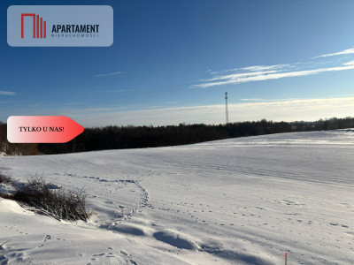 Działki z potencjałem  - Liniewskie Góry - Liniewskie Góry  -
Pomorskie Zdjęcie nr 5