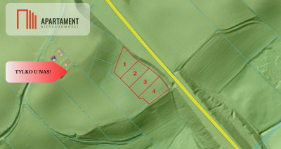 Działki z potencjałem  - Liniewskie Góry - Liniewskie Góry  -
Pomorskie Zdjęcie nr 6