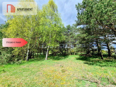 Tylko u Nas Działka z pięknym widokiem - Lubocień  -
Kujawsko-Pomorskie Zdjęcie nr 3