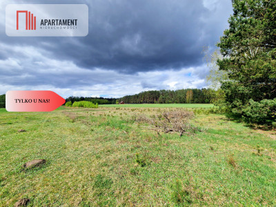 Tylko u Nas Działka z pięknym widokiem - Lubocień  -
Kujawsko-Pomorskie Zdjęcie nr 4