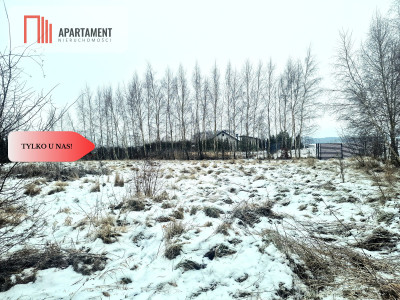 Linia brzegowa jeziora Własny pomost - Sucha  -
Kujawsko-Pomorskie Zdjęcie nr 4