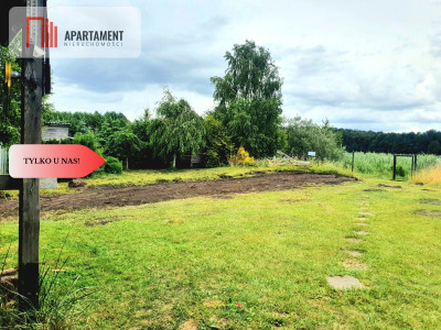 Linia brzegowa jeziora Własny pomost - Sucha  -
Kujawsko-Pomorskie Zdjęcie nr 8