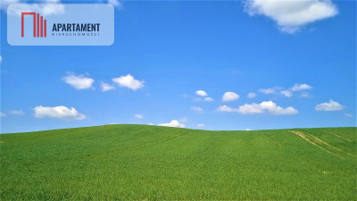 Spokojna okolica Ładnie położona - Żołędowo  -
Kujawsko-Pomorskie Zdjęcie nr 3