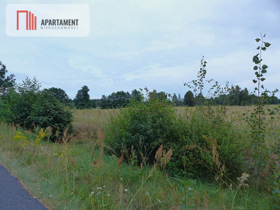 Działki z war zabudowy pod siedlisko - Małomin - Małomin  -
Kujawsko-Pomorskie Zdjęcie nr 3