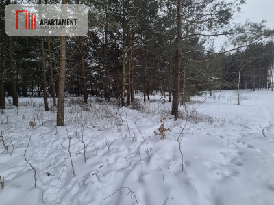 Działka budowlana w  Boroszewie - Boroszewo  -
Pomorskie Zdjęcie nr 5