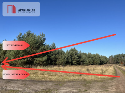 Działka pod lasem w spokojnej okolicy - Czeszów  - Dolnośląskie