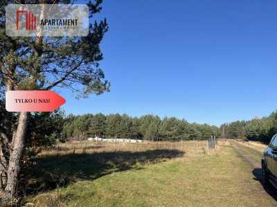 Działka pod lasem w spokojnej okolicy - Czeszów  -
Dolnośląskie Zdjęcie nr 2