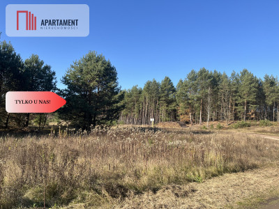 Działka pod lasem w spokojnej okolicy - Czeszów  -
Dolnośląskie Zdjęcie nr 7