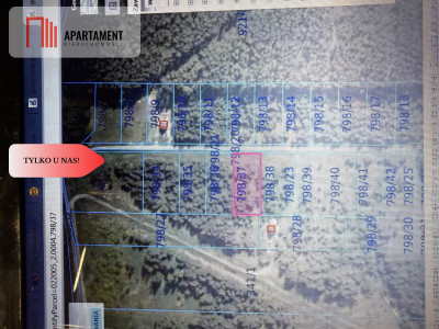 Działka pod lasem w spokojnej okolicy - Czeszów  -
Dolnośląskie Zdjęcie nr 8