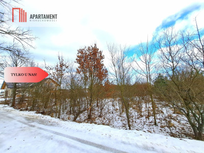 MORZEWIEC 3260m2 WYDANE WZ CISZA SPOKÓJ - Morzewiec  -
Kujawsko-Pomorskie Zdjęcie nr 3