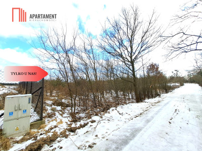 MORZEWIEC 3260m2 WYDANE WZ CISZA SPOKÓJ - Morzewiec  -
Kujawsko-Pomorskie Zdjęcie nr 4