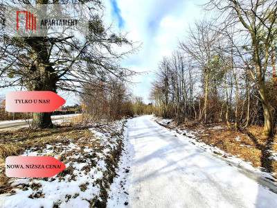 MORZEWIEC 3260m2 WYDANE WZ CISZA SPOKÓJ - Morzewiec  -
Kujawsko-Pomorskie Zdjęcie nr 8