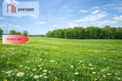 Na sprzedaż działka rolna 5 ha - Duba  - Warmińsko-Mazurskie